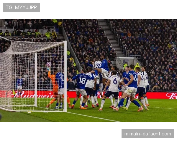 热刺3-0大胜埃弗顿 范德芬梅开二度萨尔进球 热刺3-0大胜埃弗顿 范德芬梅开二度萨尔进球